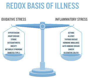 Redox-Basis-of-Illness-Blue-Gray1